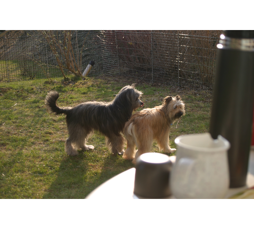 01 Dailou und seine Freundin